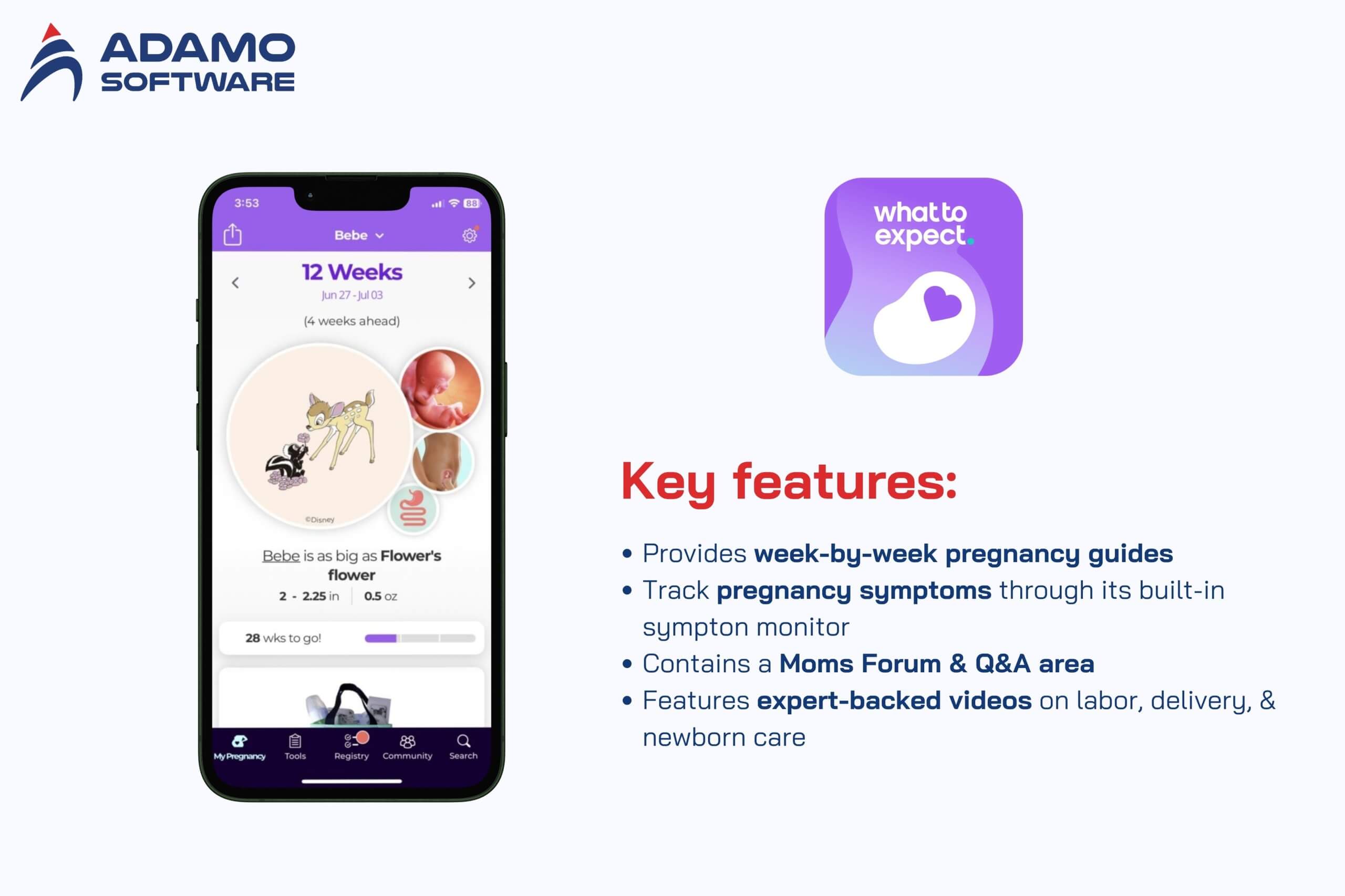 pregnancy tracker app 2
