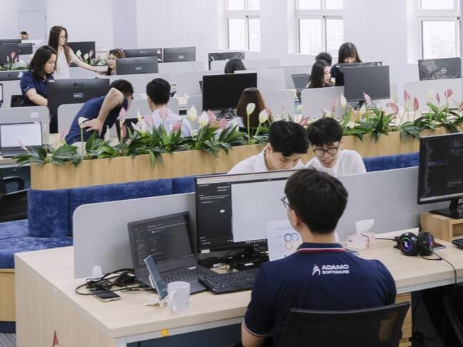 Dedicated-Development-Team