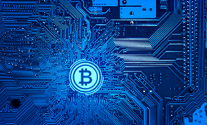 blockchain transparency in custom logistics software