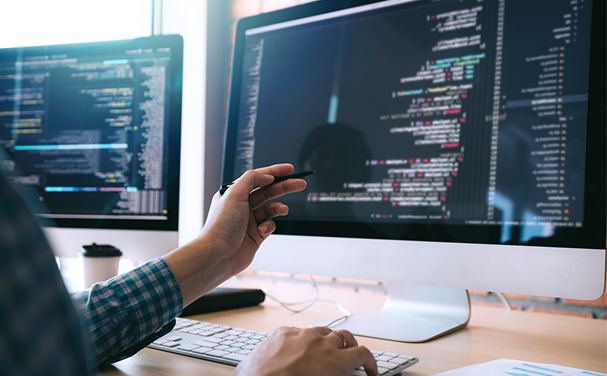 web portal development service