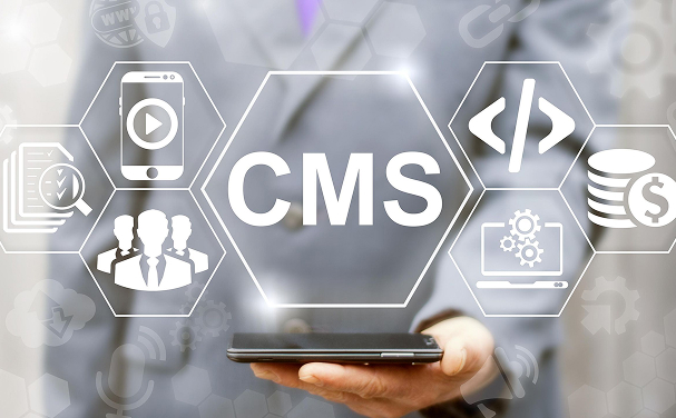 CMS development